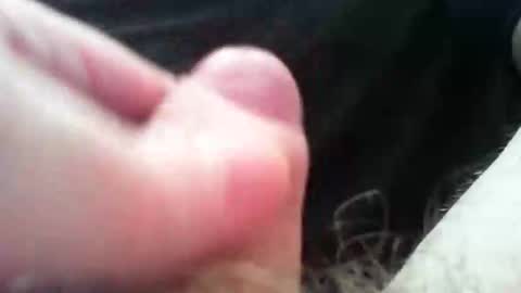 bullemoe online show from November 2025 01:32:01 PM