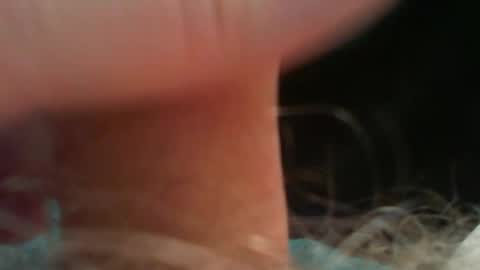 bullemoe online show from May 2026 12:48:01 PM