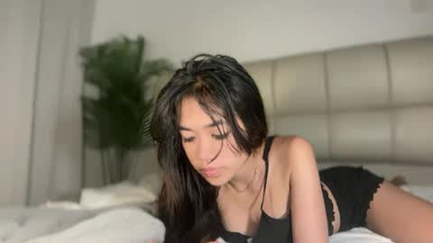 zy online show from July 2026 02:29:02 AM