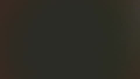 Dutch cock online show from April 2026 11:57:01 AM