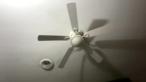 Snapshot of bunnibaby333 chatting on September 2025 09:58:01 AM bunnibaby333 online show from September 2025 09:58:01 AM