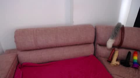 Snapshot of bunny_hoot chatting on December 2024 02:05:02 PM NINA online show from December 2024 02:05:02 PM