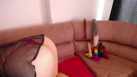 Snapshot of bunny_hoot chatting on February 2025 07:30:01 PM NINA online show from February 2025 07:30:01 PM