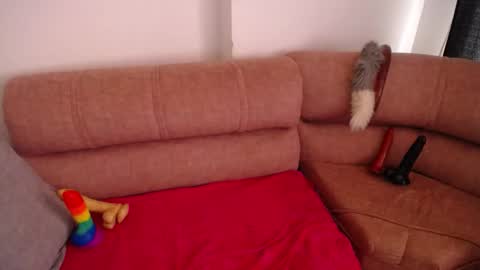 Snapshot of bunny_hoot chatting on February 2025 02:11:02 PM NINA online show from February 2025 02:11:02 PM