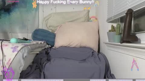 Tokki  bunny  online show from December 2024 11:24:02 PM