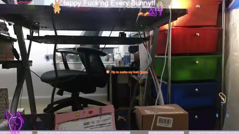 Tokki  bunny  online show from December 2024 03:50:02 AM