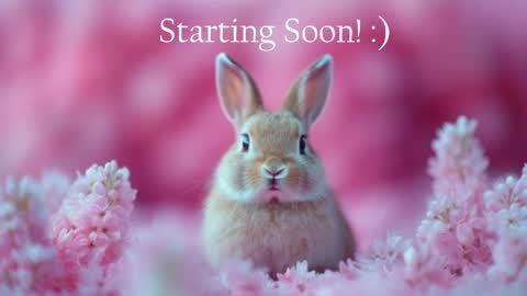 Stella online show from May 2026 10:08:02 PM