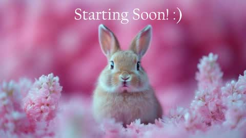 Stella online show from May 2026 11:56:01 PM