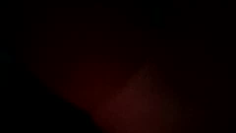 Snapshot of burgola chatting on January 2025 01:58:01 PM Burgola online show from January 2025 01:58:01 PM