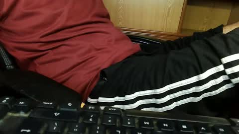 Hairy Arabian online show from September 2025 07:02:02 PM