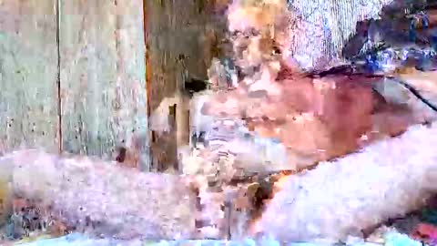 Snapshot of burnzart chatting on September 2025 08:33:01 PM burnzart online show from September 2025 08:33:01 PM