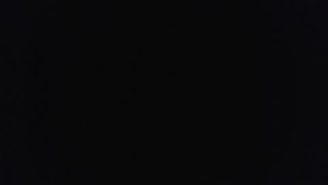 bushhouse21 online show from March 2026 08:20:01 AM