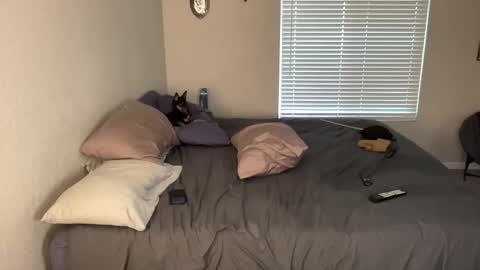 Pocket Daddy cockring gaycouple cockring lovense daddy online show from May 2026 01:56:01 AM