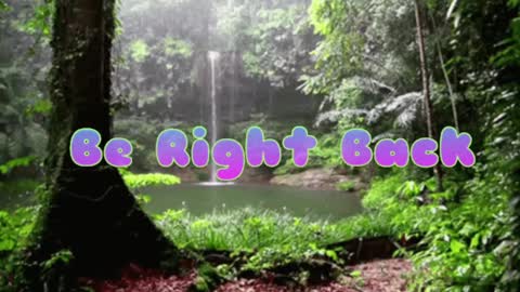 Butterfly and Bear online show from December 2024 09:19:02 PM