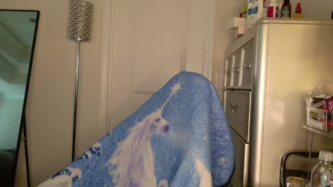 butterfly booty online show from March 2026 12:50:02 PM