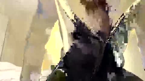 buynowlive online show from May 2026 03:18:01 PM