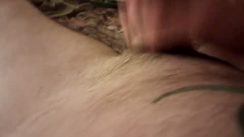 bwcdrilla9 online show from June 2026 12:37:01 PM