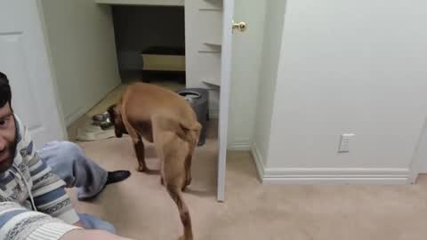 c2cmee online show from December 2024 09:55:01 AM