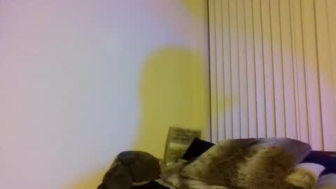 Cal XXX online show from November 2025 02:13:01 AM