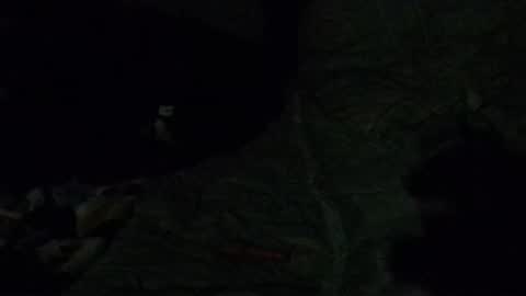 Snapshot of calisguitar chatting on December 2024 07:39:01 AM Calisguitar online show from December 2024 07:39:01 AM