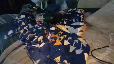 Snapshot of calisguitar chatting on December 2024 09:30:02 PM Calisguitar online show from December 2024 09:30:02 PM