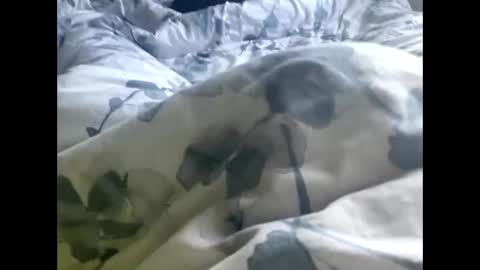 Snapshot of callmedaddyyouslut44 chatting on March 2026 11:50:01 AM callmedaddyyouslut44 online show from March 2026 11:50:01 AM