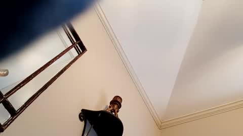 camerontaylorcub online show from December 2024 05:12:01 PM