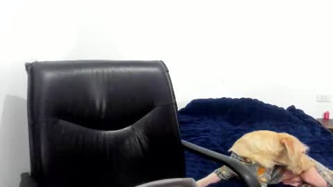 Cami online show from June 2026 04:22:02 AM
