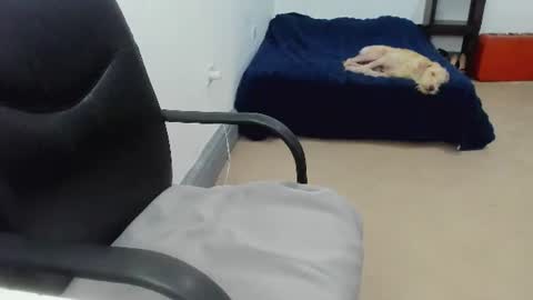 Cami online show from July 2026 08:33:01 PM