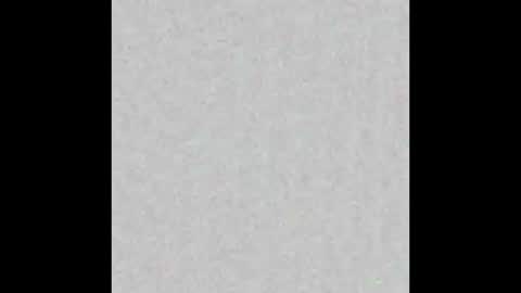 Taisia online show from February 2025 08:50:01 AM