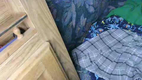 7777 online show from February 2025 02:56:01 AM