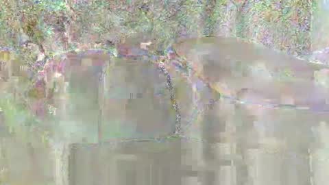 candy_ary online show from February 2026 06:40:02 AM