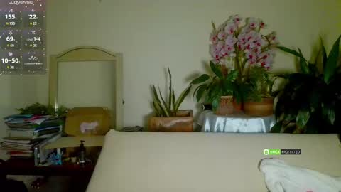 Candy - online show from January 2025 06:38:02 AM