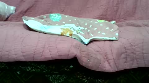 candyopenminded online show from May 2026 05:40:01 PM