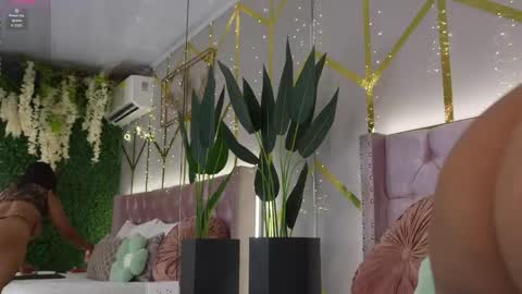 canela_montiel online show from June 2026 12:52:02 PM