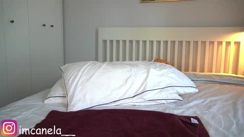 Snapshot of canelasungirl chatting on January 2025 04:36:01 AM Jency NEW IG IMCANELA online show from January 2025 04:36:01 AM