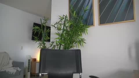 Snapshot of canelasungirl chatting on September 2025 07:36:01 PM Jency NEW IG IMCANELA online show from September 2025 07:36:01 PM