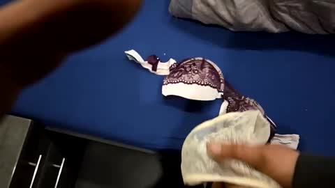 Snapshot of capoo24 chatting on October 2025 10:08:02 AM capoo24 online show from October 2025 10:08:02 AM