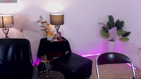 caprize_diva online show from January 2025 03:17:02 PM