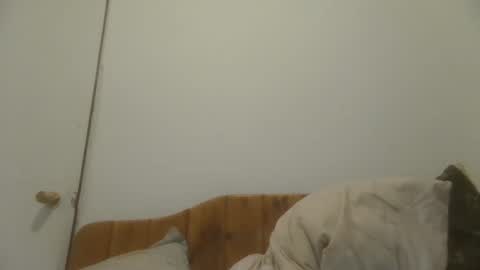 Snapshot of caravibugue chatting on December 2024 01:03:01 AM caravibugue online show from December 2024 01:03:01 AM