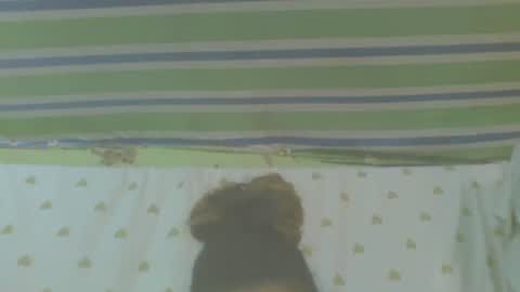 carinesexy69 online show from October 2025 10:16:02 AM