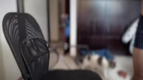 carlcarlinches4 online show from March 2025 02:59:01 PM