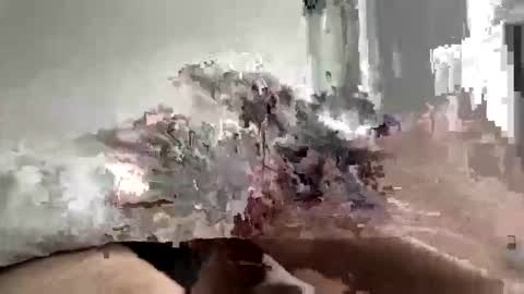 Snapshot of carnifex5 chatting on February 2026 05:34:01 PM carnifex5 online show from February 2026 05:34:01 PM