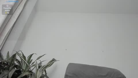 Snapshot of carolina_t chatting on January 2025 01:23:02 AM carolina_t online show from January 2025 01:23:02 AM