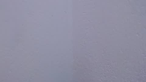 carolina_zabala_19 online show from July 2026 05:06:02 PM
