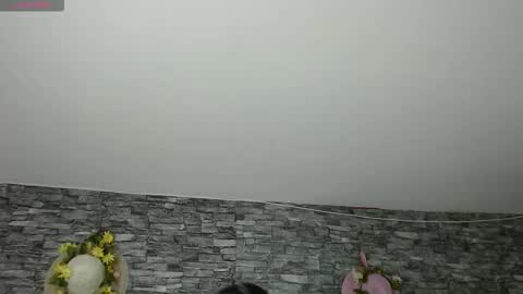 Snapshot of carolinajamess chatting on November 2025 03:16:02 AM Camelia online show from November 2025 03:16:02 AM