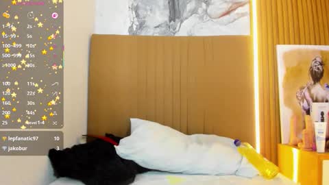 Snapshot of carolinecastle chatting on March 2026 08:19:01 AM OSNA online show from March 2026 08:19:01 AM