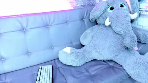 Snapshot of carolinejesh chatting on February 2026 06:03:02 PM carolinejesh online show from February 2026 06:03:02 PM