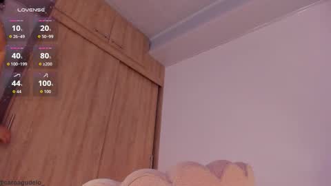 Snapshot of carolinna_ chatting on February 2026 01:45:04 AM carolinna_ online show from February 2026 01:45:04 AM