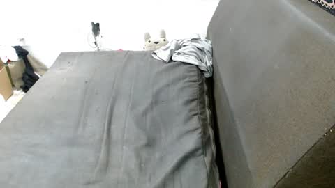 Snapshot of caroljeager chatting on January 2025 11:51:01 PM carol my sign is capricorn online show from January 2025 11:51:01 PM